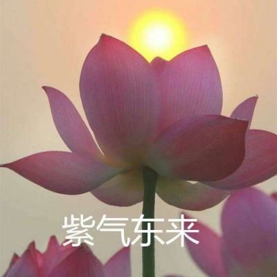 梦幻侠客行手游(暂未上线)v1.0 安卓版